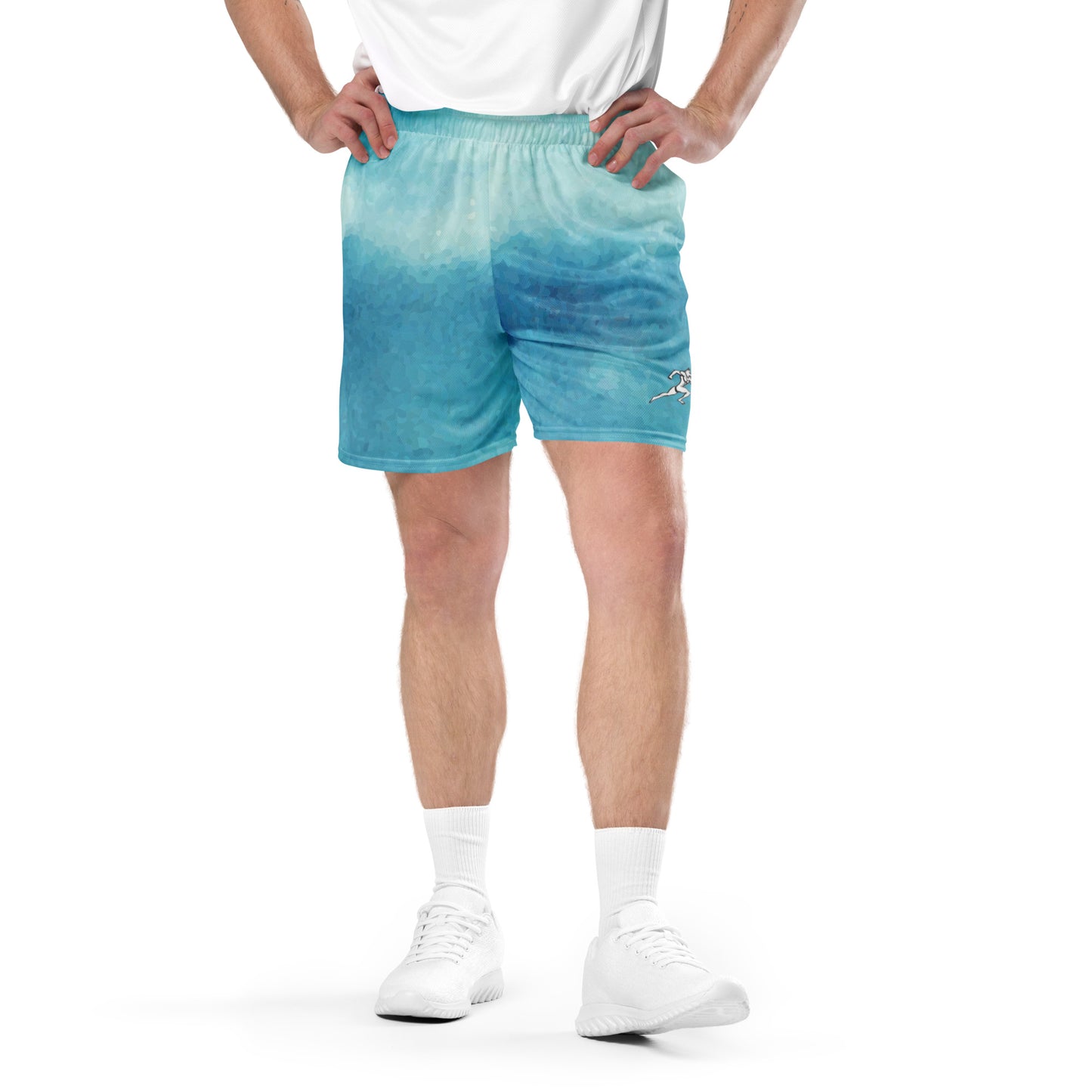 FitFox Unisex mesh shorts