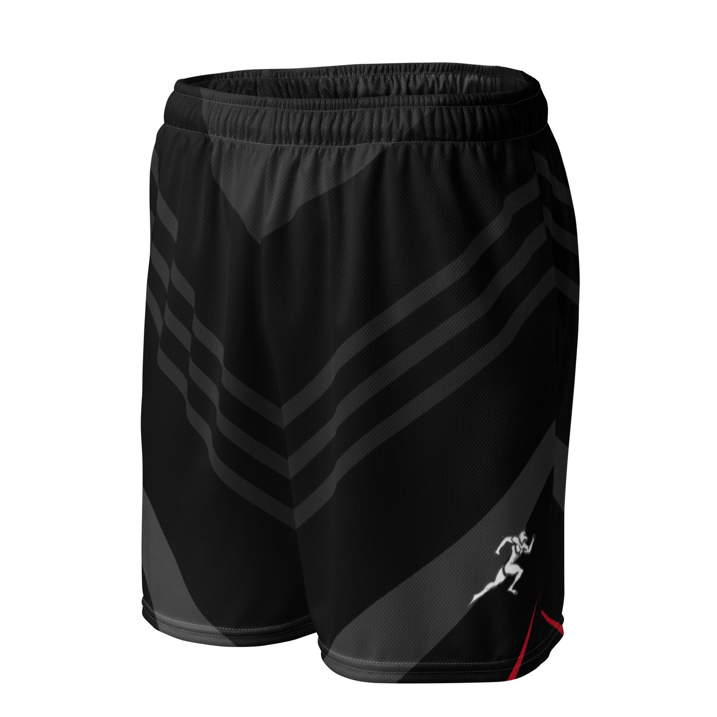 FitFox Unisex mesh shorts