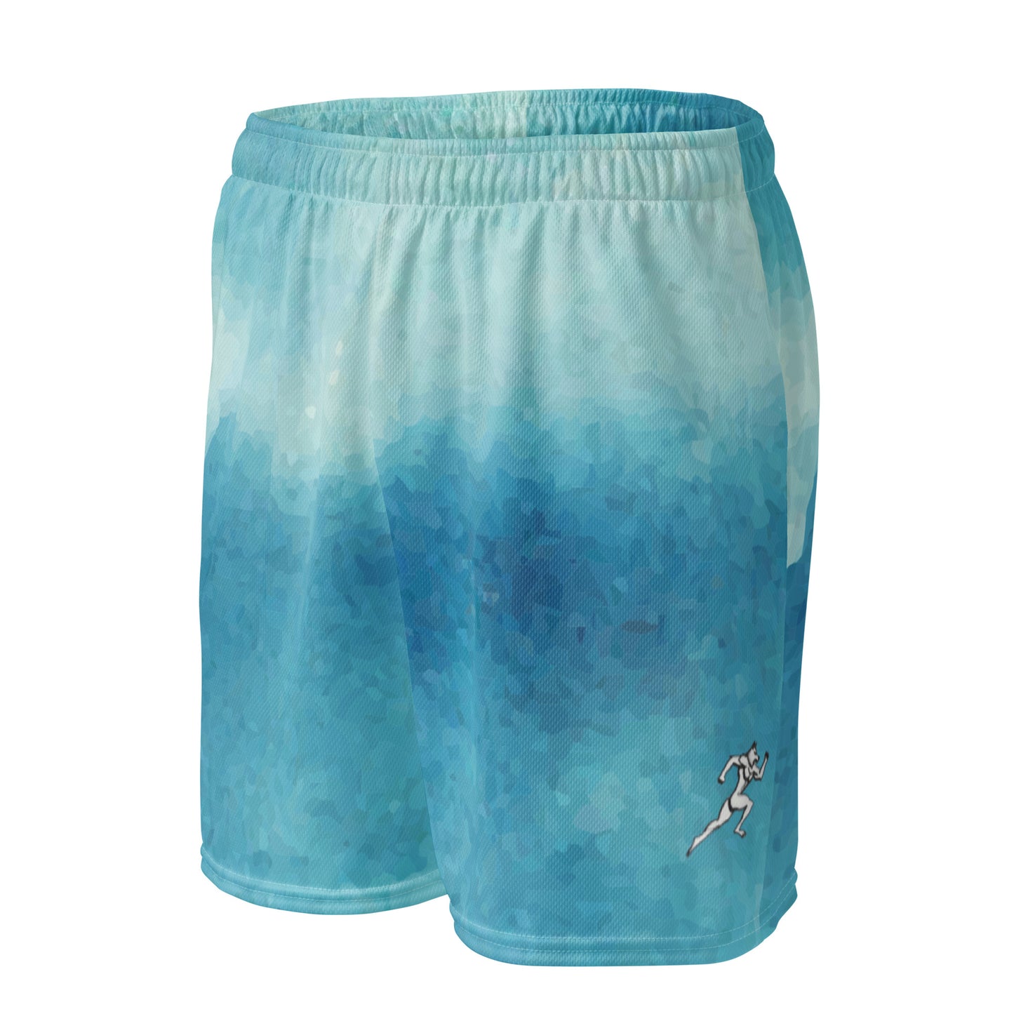 FitFox Unisex mesh shorts