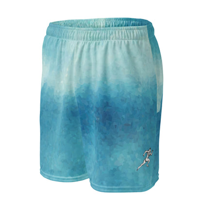 FitFox Unisex mesh shorts