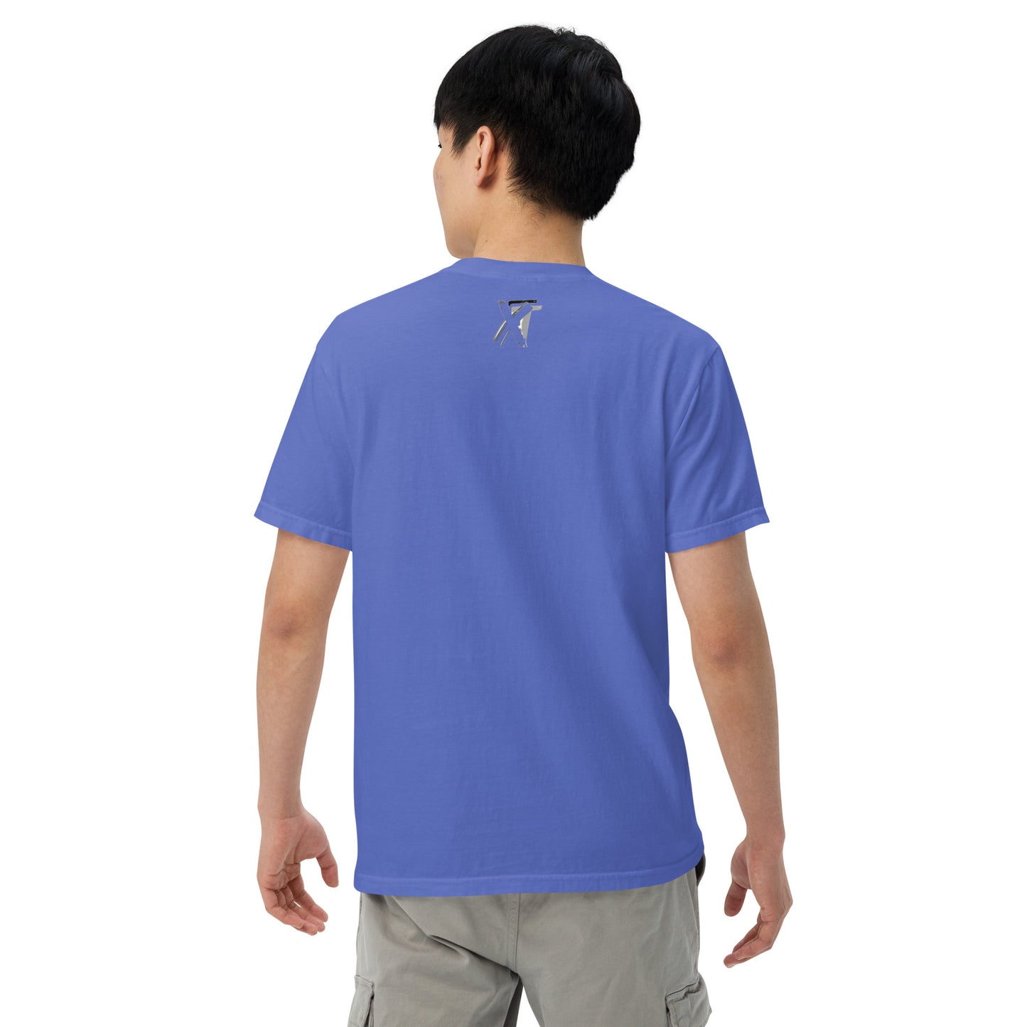 Reviax Training Men’s garment-dyed heavyweight t-shirt